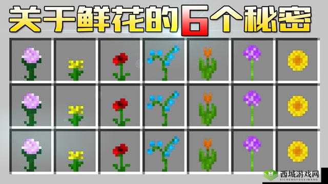 我的绿洲蒲公英刷材料的多种有效获得方法详细解析