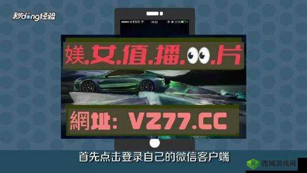 欧亚专线欧洲 S 码 WMY 不知所措引发的思考